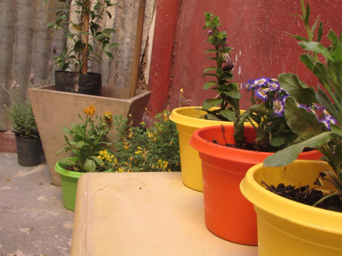 Casa Artigas Hostel Cordoba Dış mekan fotoğraf
